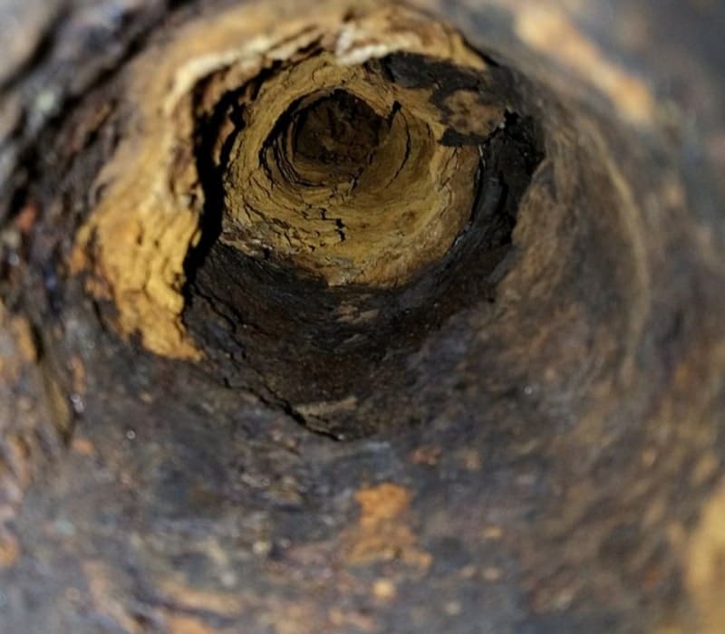 Buckley-Sewer-Line-Issues