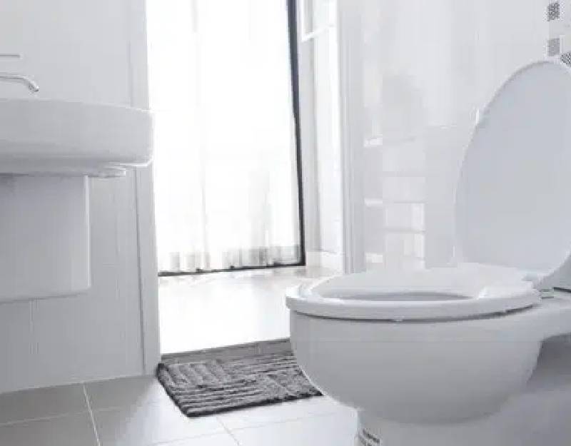 Puyallup-Toilet-Base-Leak